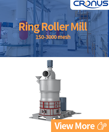 ring roller mill